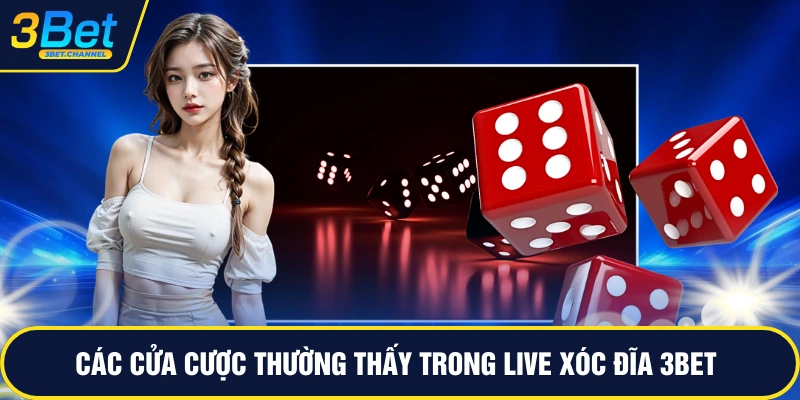 Các cửa cược thường thấy trong live xóc đĩa 3BET