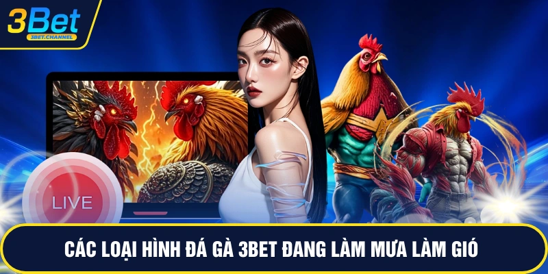 Các loại hình đá gà 3BET đang làm mưa làm gió