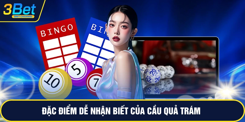 Đặc điểm dễ nhận biết của cầu quả trám