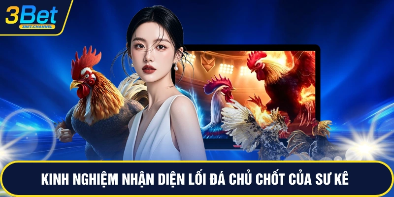 Kinh nghiệm nhận diện lối đá chủ chốt của sư kê