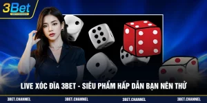 live xóc đĩa 3BET
