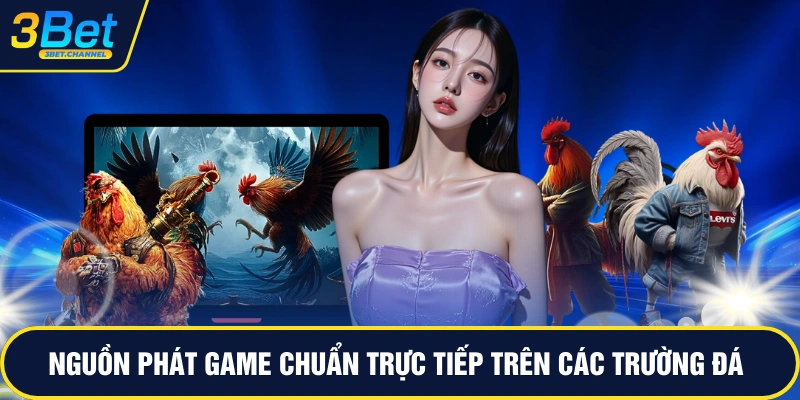 Nguồn phát game chuẩn trực tiếp trên các trường đá