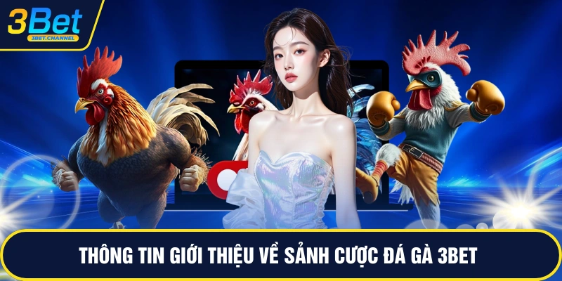Thông tin giới thiệu về sảnh cược đá gà 3BET